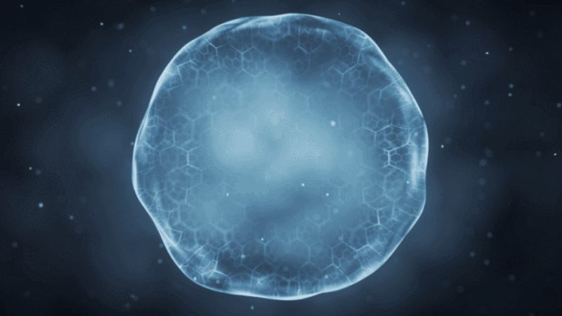 合作共赢：生物科技公司合作中的关键考量**