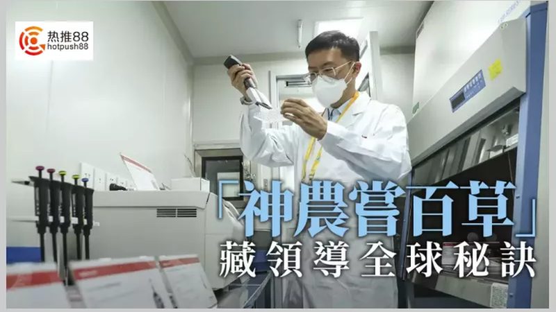 CDMO项目合作模式对比