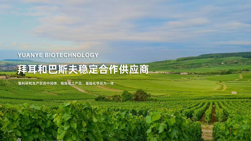 医用生物科技面膜：如何从成分与功效看真伪**