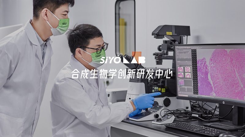 CDMO服务流程定制方案：揭秘生物制药生产的关键环节