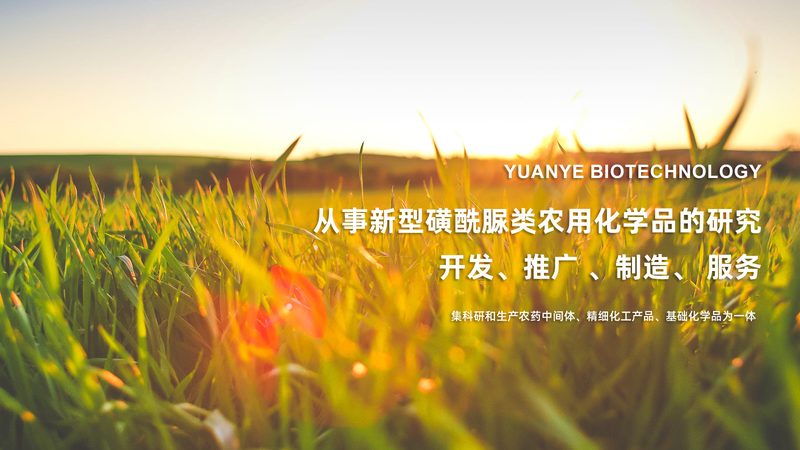细胞培养箱污染：如何有效处理与预防**