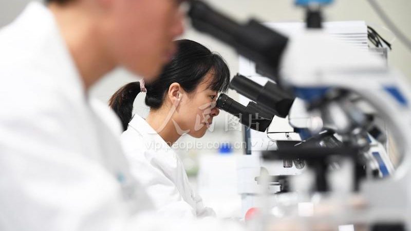 揭秘CRO优化培训：价值与成本解析