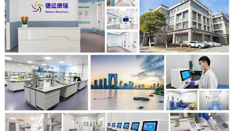 国产细胞培养基：如何选择适合您的最佳方案**