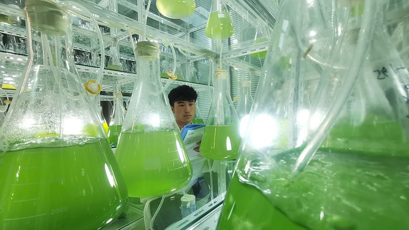 重组蛋白生物制品稳定性：如何确保其安全有效？**
